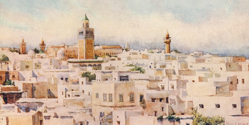 Tunis (druk kolorowy) autorstwa Frances Nesbitt