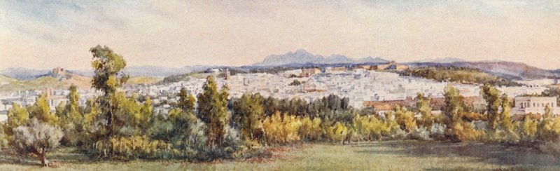 Tunis z Belwederu (kolorowa litografia) autorstwa Frances Nesbitt