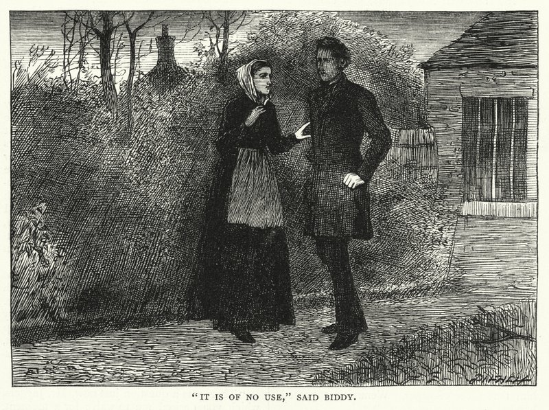 Ilustracja do wielkich nadziei autorstwa Charlesa Dickensa (rycina) autorstwa Francis Arthur Fraser