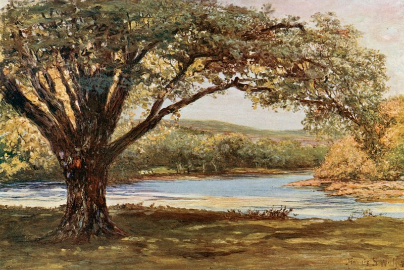 Dolina Avoca autorstwa Francis S. Walker