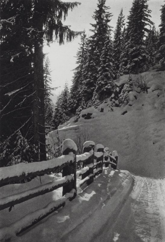 Alpy: Zimowy poranek, niedaleko St Anton (zdjęcie czarno-białe) autorstwa Francis Sydney Smythe