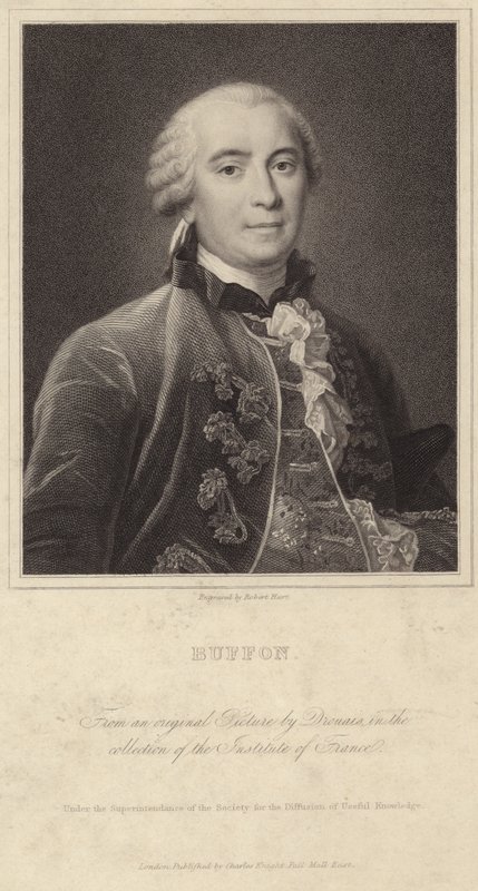 Portret Georgesa-Louisa Leclerca, hrabiego Buffon autorstwa Francois Hubert Drouais