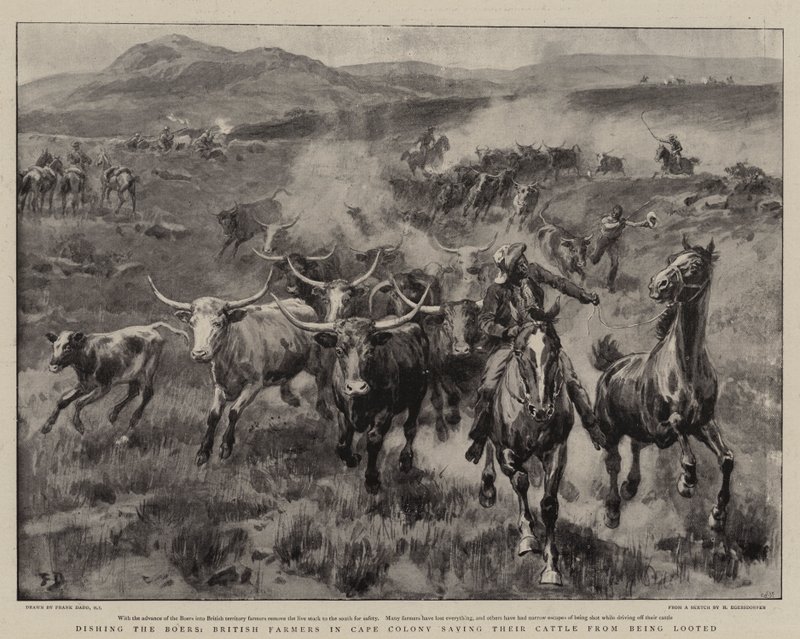 Dishing Burów, brytyjscy farmerzy w Cape Colony ratujący swoje bydło przed splądrowaniem autorstwa Frank Dadd