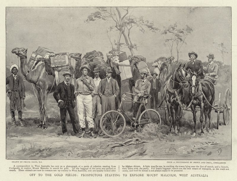 Na Gold Fields poszukiwacze rozpoczynają eksplorację Mount Malcolm w Australii Zachodniej autorstwa Frank Dadd