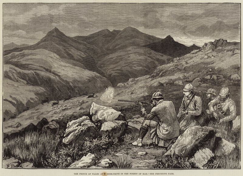 Książę Walii w Deer-Drive w Forest of Mar autorstwa Frank Dadd