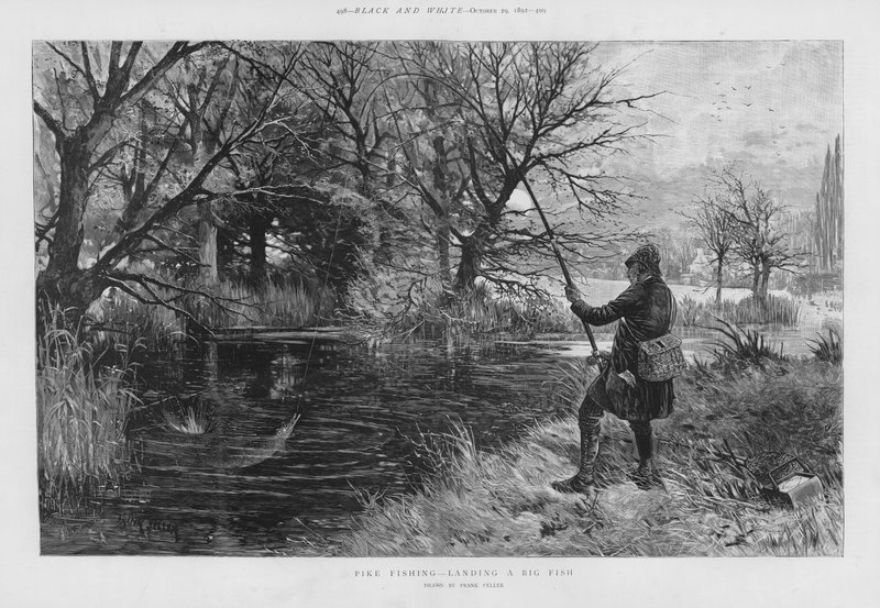 Rybak szczupakowy wyładowujący dużą rybę (litho) autorstwa Frank (after) Feller