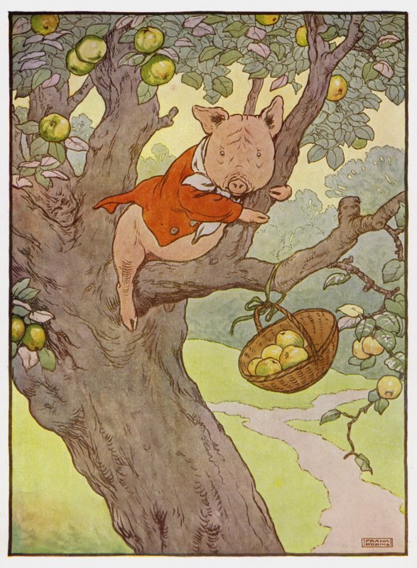 Ilustracja do trzech małych świnek autorstwa Frank Adams