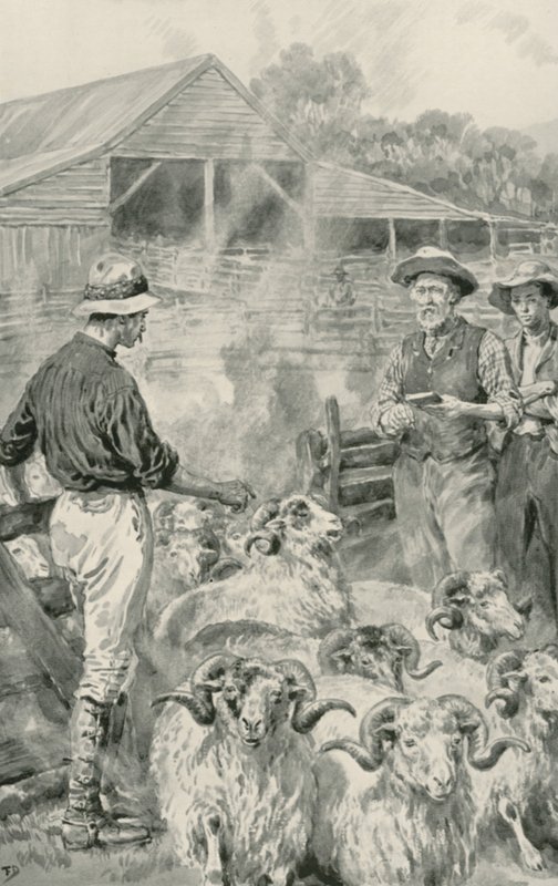 Stacja dla owiec na równinach Canterbury autorstwa Frank Dadd