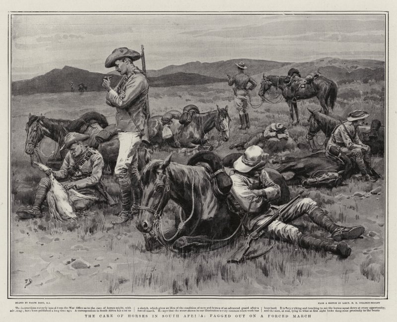 Opieka nad końmi w Afryce Południowej, wyparta przez wymuszony marsz autorstwa Frank Dadd