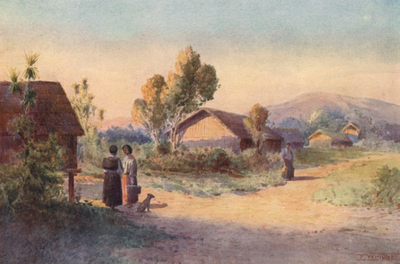 Nowa Zelandia: Wioska Maorysów (kolorowa litografia) autorstwa Frank H Wright