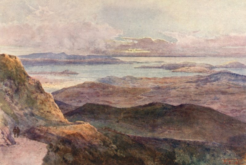 Nowa Zelandia: Coromandel (kolorowa litografia) autorstwa Frank H Wright