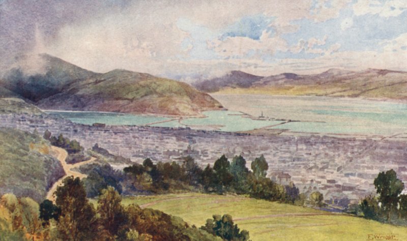 Nowa Zelandia: Dunedin (druk kolorowy) autorstwa Frank H Wright