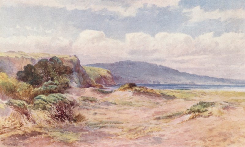 Nowa Zelandia: Na plaży w Ngunguru (kolorowa litografia) autorstwa Frank H Wright