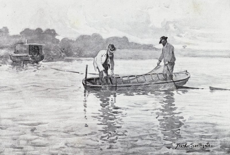 Norfolk Broads: Wyciąganie strąków węgorza autorstwa Frank Southgate