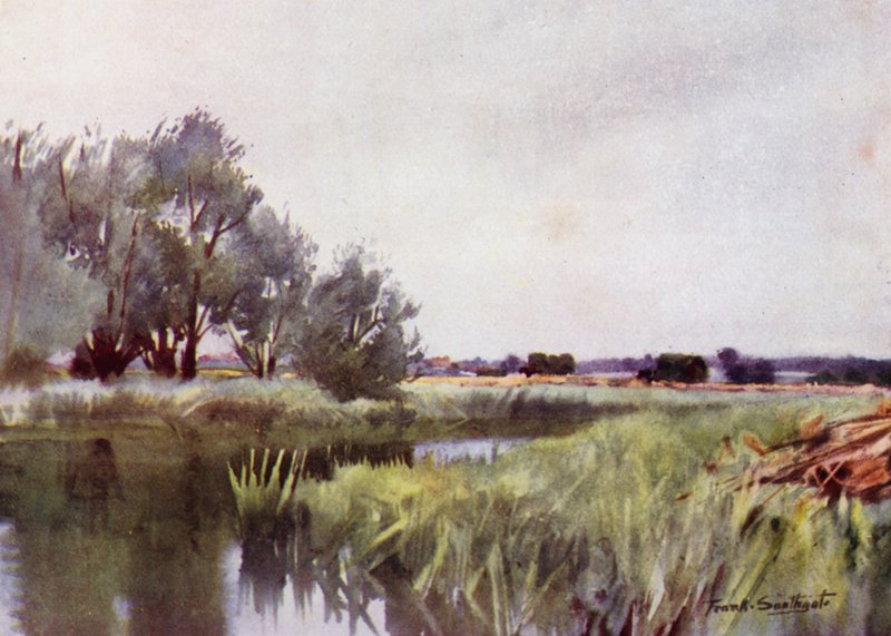 Norfolk Broads: Bagienne siano — wóz na Yare autorstwa Frank Southgate