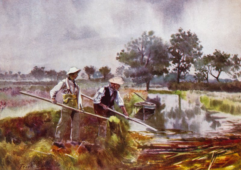 Norfolk Broads: Zbieranie chwastów przez marshmenów autorstwa Frank Southgate