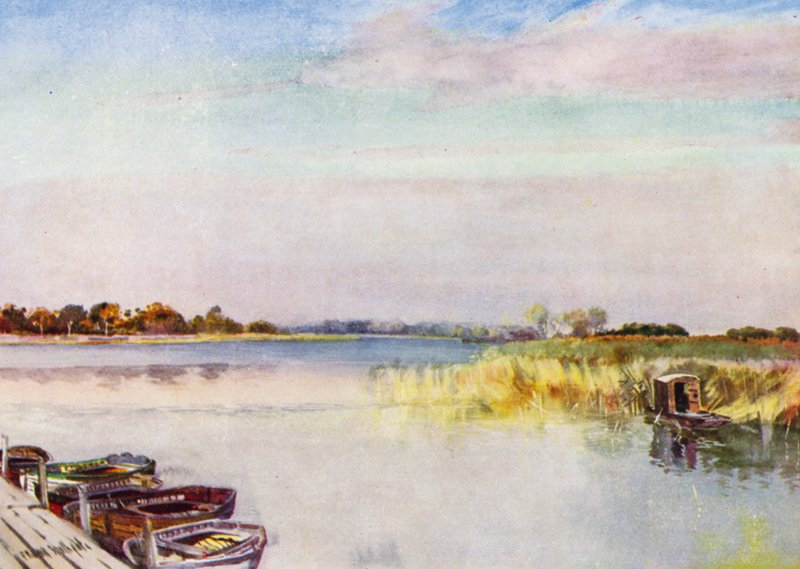 Norfolk Broads: Ormesby Broad, jesień (kolor lito) autorstwa Frank Southgate
