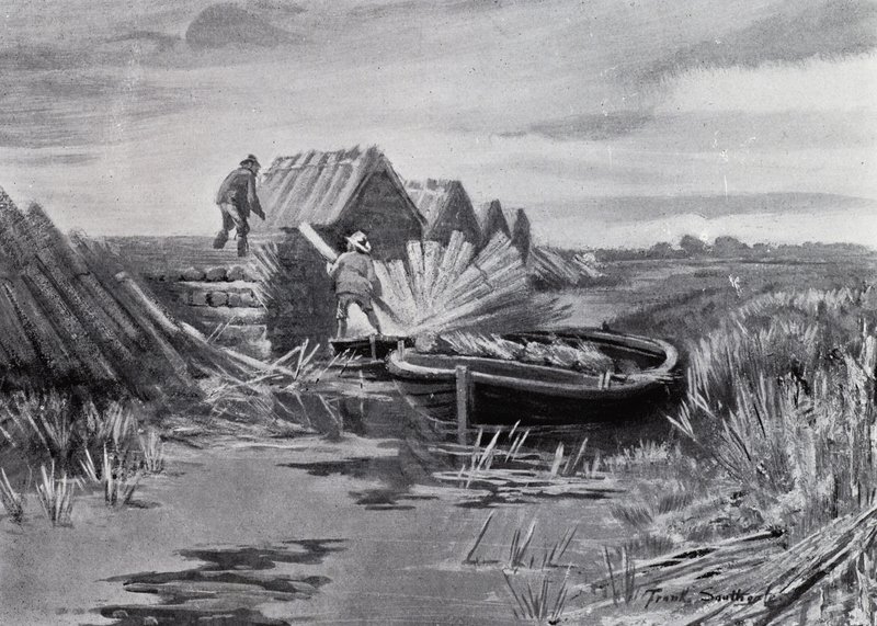 Norfolk Broads: układanie trzciny (lito) autorstwa Frank Southgate