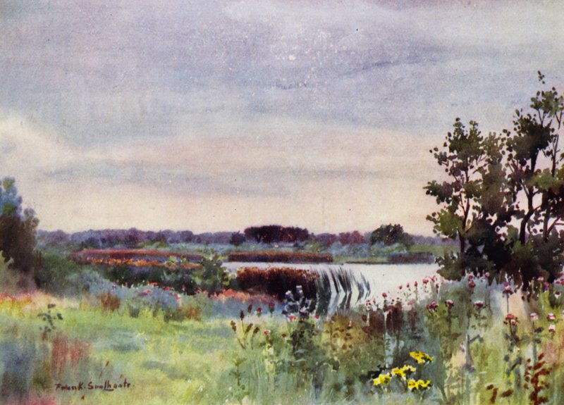 Norfolk Broads: Salhouse Great Broad (kolor lito) autorstwa Frank Southgate