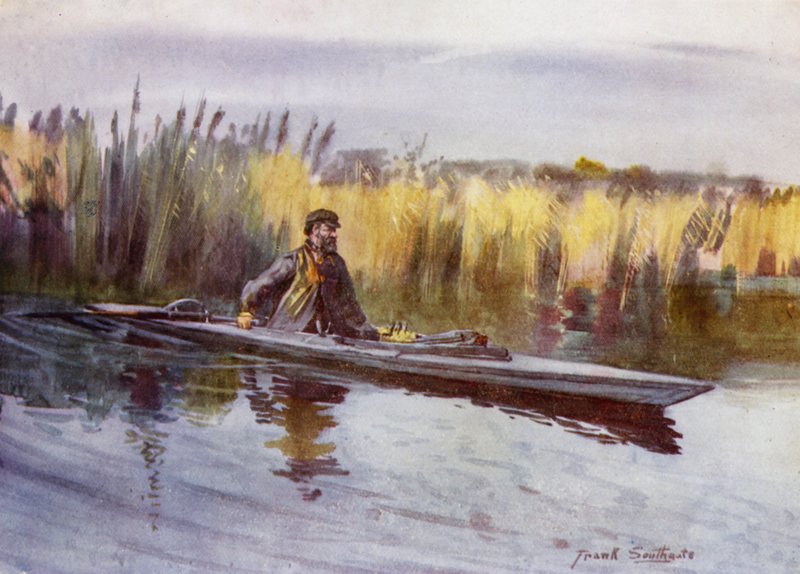 Norfolk Broads: „Naukowe” plamy Ptactwo (kolor lito) autorstwa Frank Southgate