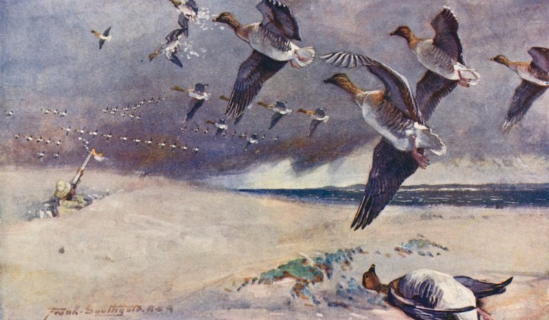 Wild Life in East Anglia: Wild-Goose Shooting (kolorowa litografia) autorstwa Frank Southgate