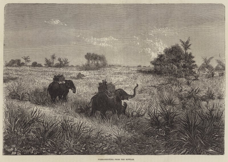 Indie i książę Walii, strzelanie do tygrysów z Howdah autorstwa Frederic Theodore Lix