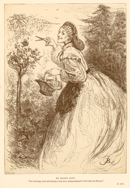 moja panieńska ciocia autorstwa Frederick Barnard