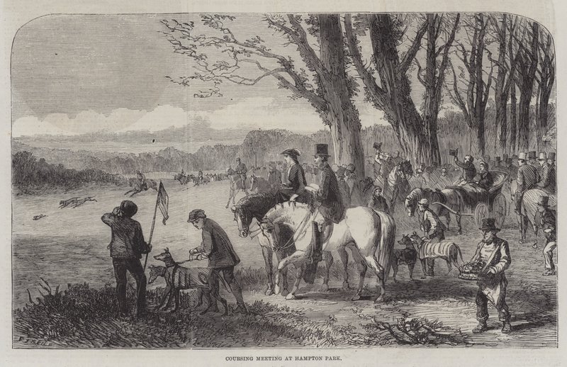 Spotkanie Coursingowe w Hampton Park autorstwa Frederick John Skill