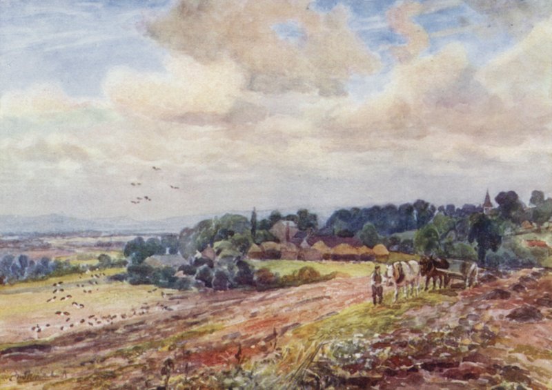 Głodny Grafton autorstwa Frederick William Newton Whitehead