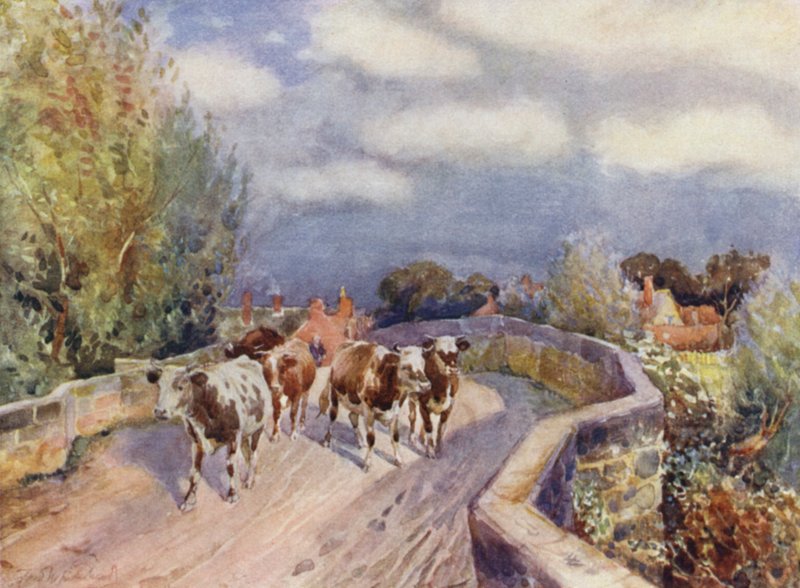 Most Martona autorstwa Frederick William Newton Whitehead