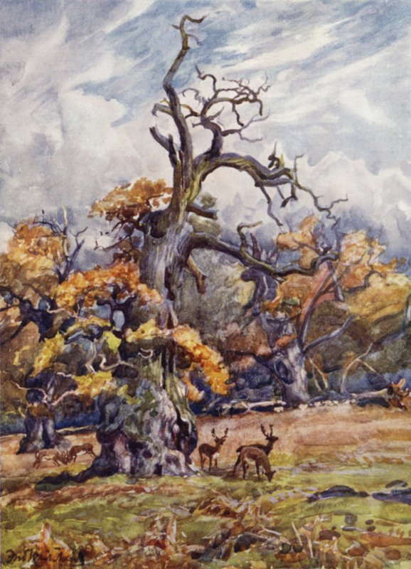 Park Packington autorstwa Frederick William Newton Whitehead