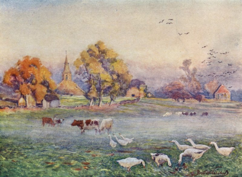 Pola opactwa, Kenilworth autorstwa Frederick William Newton Whitehead