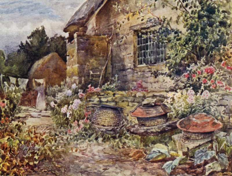 Winderton autorstwa Frederick William Newton Whitehead
