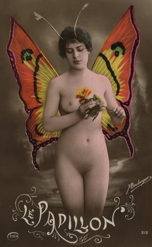 Motyl autorstwa French Photographer
