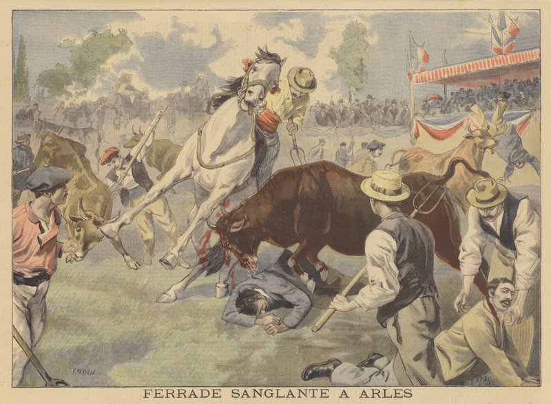 Krwawe zakończenie tradycyjnego znakowania byków w Arles autorstwa French School