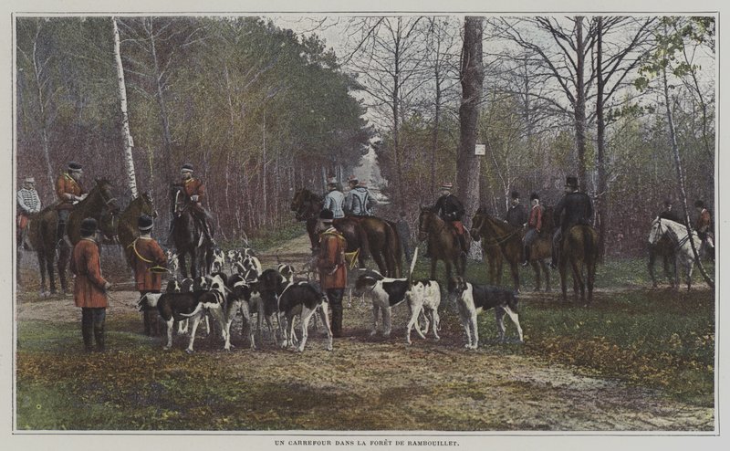 Skrzyżowanie w Foret de Rambouillet, Francja (kolorowe zdjęcie) autorstwa French Photographer