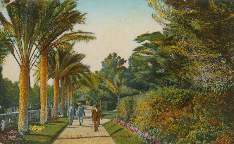 Aleja Palm, ogrody Villa Eilenroc, Cap dAntibes, Francja. Pocztówka wysłana w 1913 r. autorstwa French Photographer