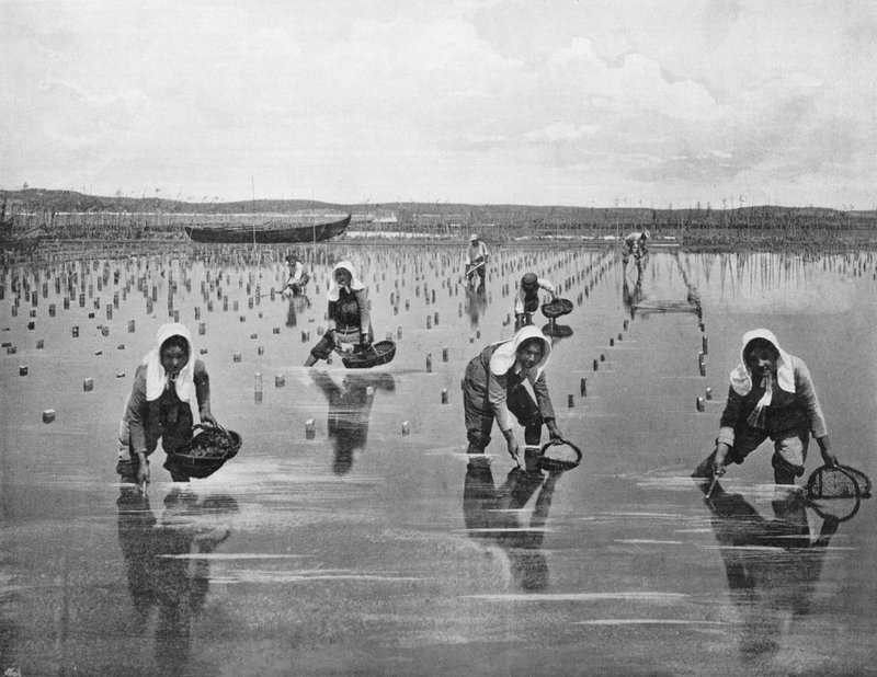 Arcachon - Oyster Parqueuses (zdjęcie czarno-białe) autorstwa French Photographer