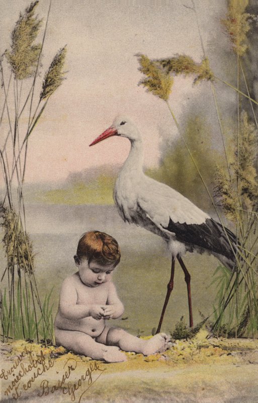 Dziecko z bocianem autorstwa French Photographer