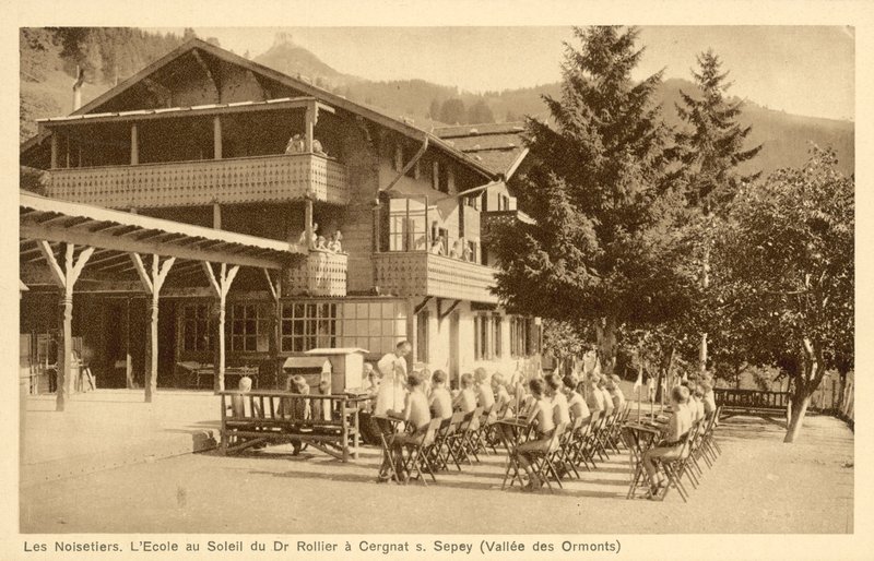 Leszczynowe drzewa, szkoła w słońcu autorstwa French Photographer