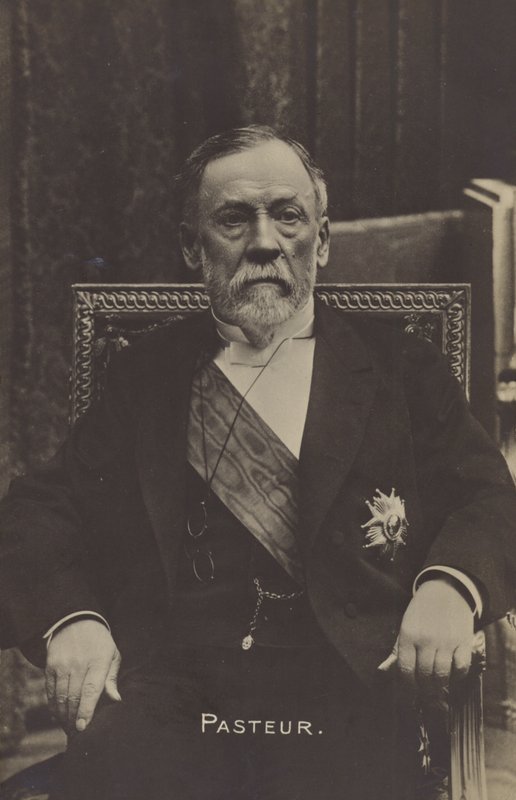 Ludwik Pasteur (1822-1895), francuski chemik i mikrobiolog autorstwa French Photographer