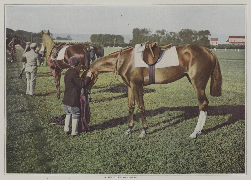 Konie wyścigowe w Deauville, Francja (kolorowe zdjęcie) autorstwa French Photographer