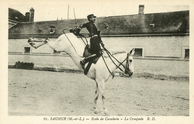 Saumur (Maine-et-Loire), Szkoła Kawalerii, La Croupade autorstwa French Photographer