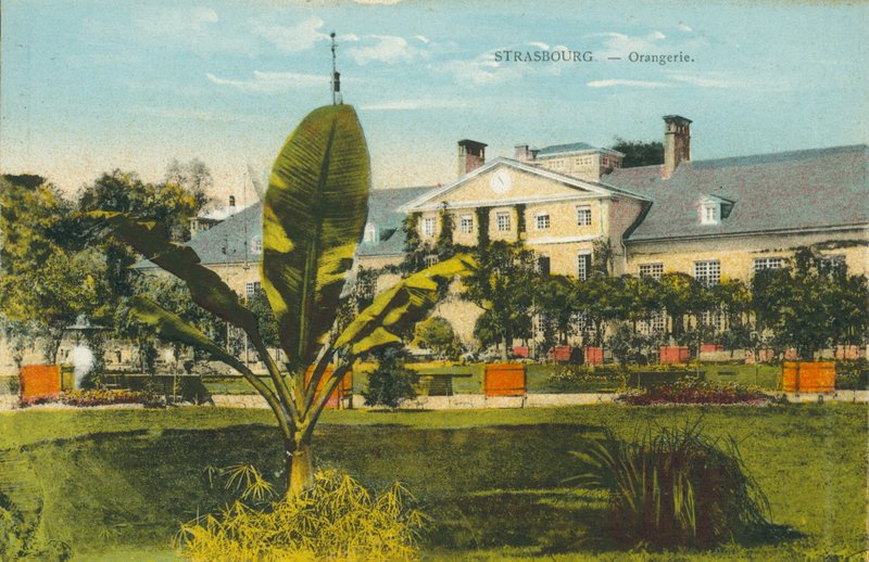Strasburg: Orangerie (zdjęcie kolorowe) autorstwa French Photographer