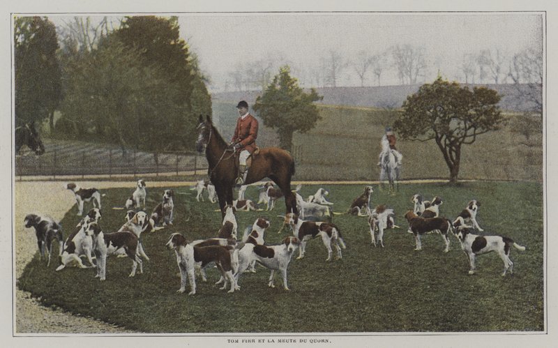 Tom Firr i psy z Quorn Hunt, Leicestershire (kolorowe zdjęcie) autorstwa French Photographer
