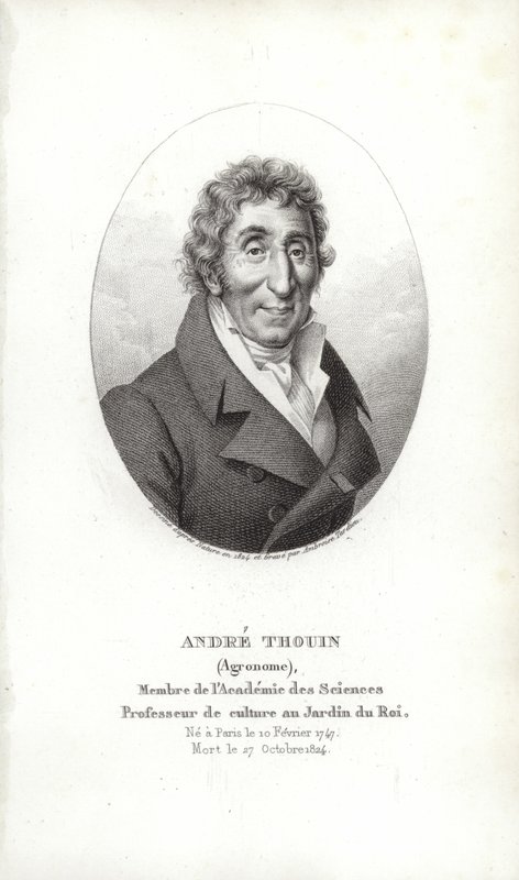André Thouin autorstwa French School