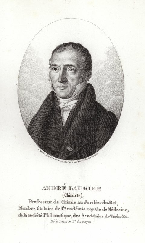 Andre Laugier autorstwa French School