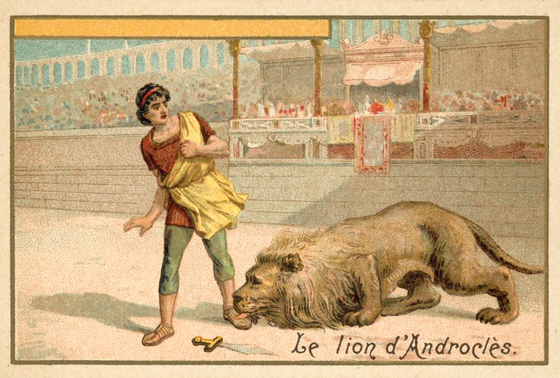 Androkles i lew autorstwa French School