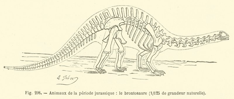 Zwierzęta okresu jurajskiego, Brontozaur (rycina) autorstwa French School