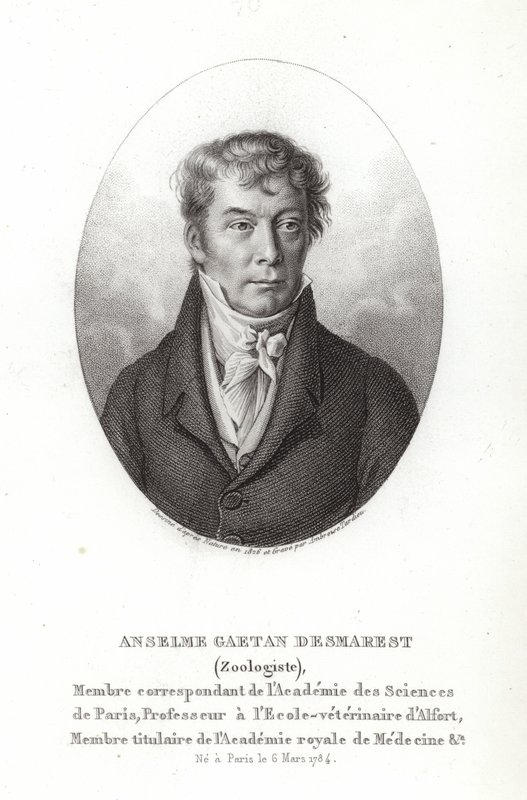 Anselme Gaetan Desmarest autorstwa French School